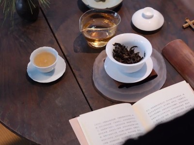 蓉城茶香书韵，尽显文化雅致