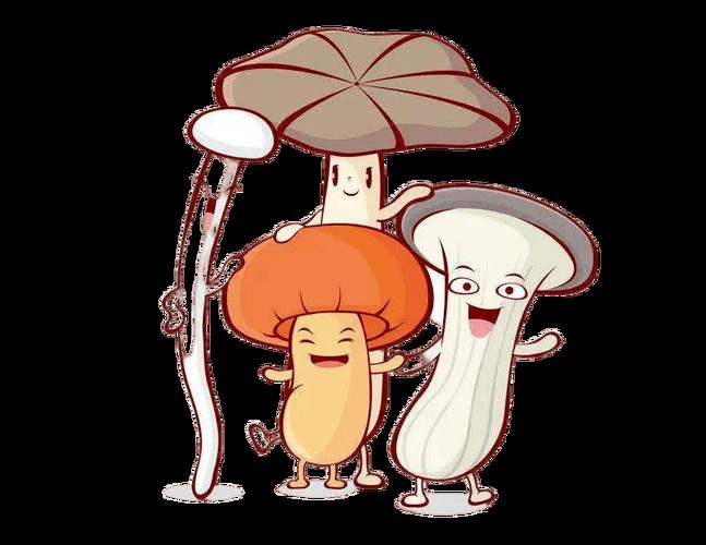 盒马鲜生误送水仙致消费者中毒事件,食品安全警钟再次敲响的警示信号。