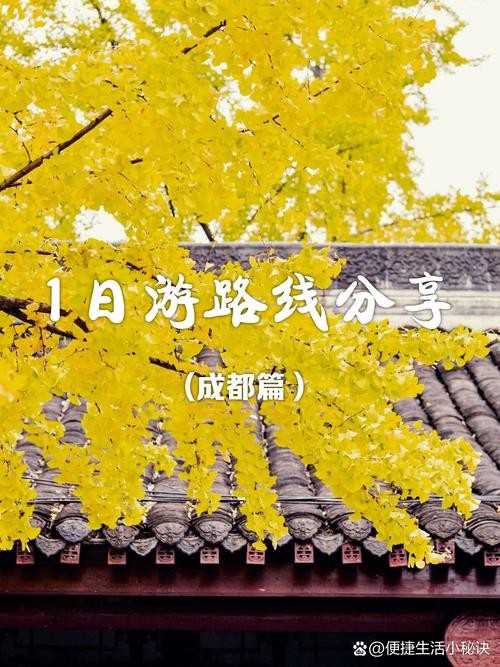 成都慢生活之旅,在治愈中寻找生活的节奏与意义